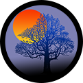 lettermatchllc-logo-circle-ver.-2.png